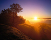 effortless prosperity 1