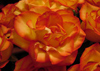 effortless prosperity 1