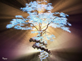 Growing In The Light me_rose