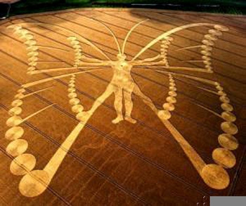 Butterfly Crop Circles me_rose